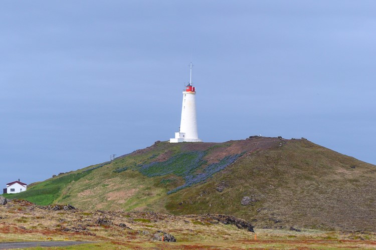 Vanuit het Gunnuhver geothermische gebied loop je in tien minuten naar de vuurtoren - Reykjanes - IJsland